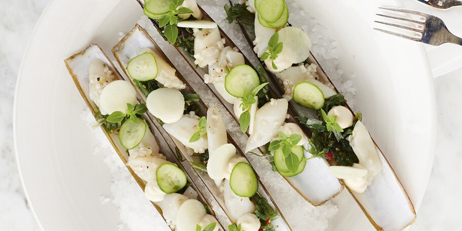 Scheermessen uit de Noordzee met komkommer, koolrabi en basilicum