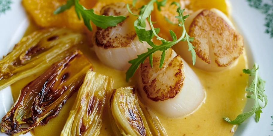 Noix de Saint-Jacques snackées aux chicons, beurre blanc aux agrumes