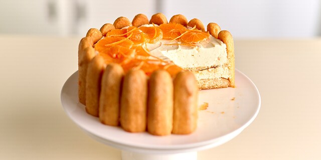 Charlotte-cheesecake aux mandarines