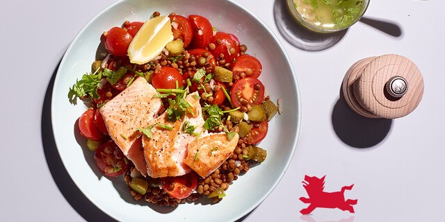 Salade de lentilles au saumon grillé