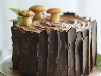 Bûche-souche d’arbre au chocolat et  à la mousse chocolat-noisettes
