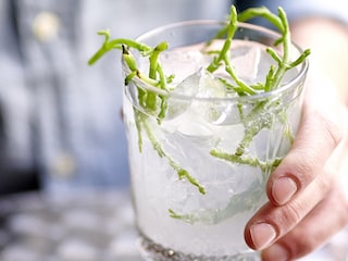 Roku Tonic