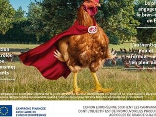 KIPPENBOUT Label Rouge OP RUSTIEKE WIJZE