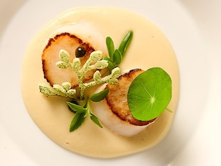 Noix de Saint-Jacques avec mousseline de panais au lait de coco, coriandre et poivre vert d'Yves Mattagne