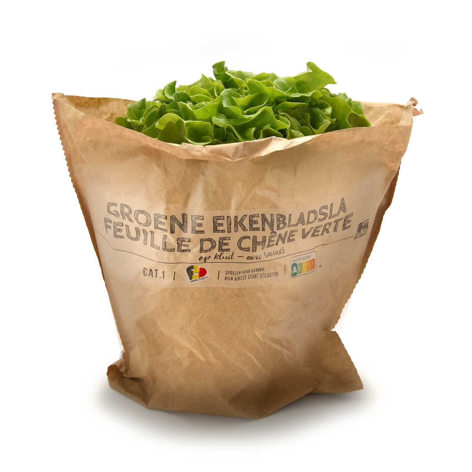 Delhaize Groene eikenbladsla | Kluit