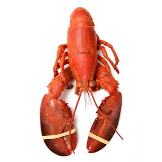 Delhaize | Homard cuit 400-600G 