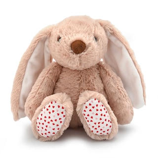 Delhaize | Lapin de la Saint-Valentin 