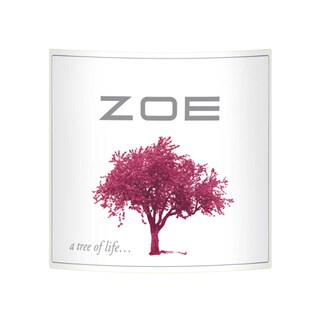 Peloponesse | Grèce - Griekenland | Zoe Domaine Skouras Rosé 2018 
