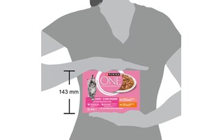 Purina ONE | Aliment Chat | Chaton | Pâté | Saumon 
