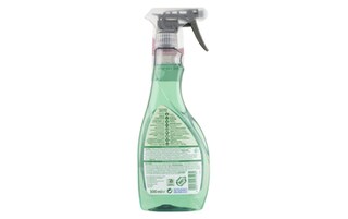 Frosch | Ruitenreiniger | Spray | Eco 