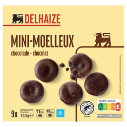 Delhaize | Mini | Moelleux | Au | Chocolat | 9P 