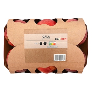 Pommes | Royal gala | Emballé | 6pc