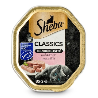 Sheba | Aliment chat | Terrine | Saumon 