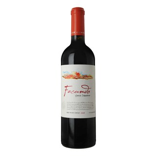 Chili | CASABLANCA VALLEY | Facundo Blend 2010 | Rouge 