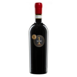 Italy | Amarone | 2022 | Rood 