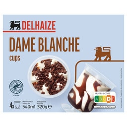 Delhaize | Ijsroom | Dame blanche 