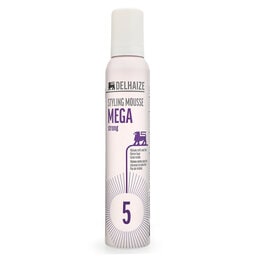 Delhaize | Mega Strong | Styling Mousse 