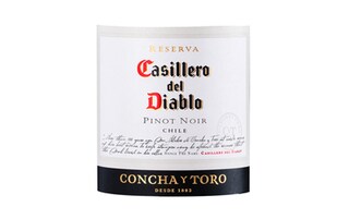 Casillero | Pinot Noir 