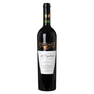 CHILI - RAPEL VALLEY | Rapel Valley | La Capitana Merlot Rouge 