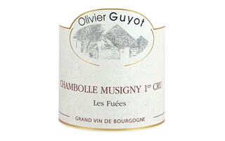 France - Frankrijk | Bourgogne - Côte de Nuits | Chambolle Musigny 1er Cru Feusselottes 15 R 