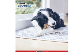 Dentalife | Orale hygiëne | Mini | Hondensnacks 207 gr