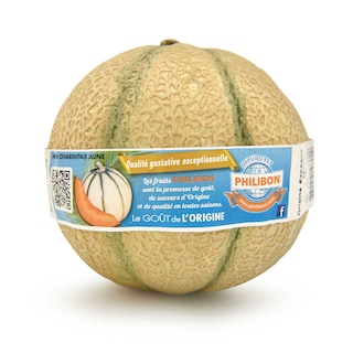 Delhaize | Charentais | Philibon 