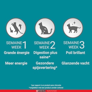 Purina ONE | Bifensis | Aliment Chat | Sterilisé | Sterilisé | Boeuf 