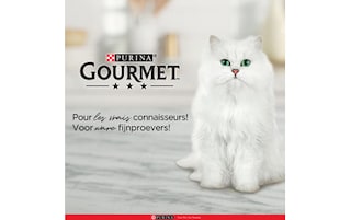 Gourmet | Perle | Aliment Chat | Adulte | Filettines | Poisson 