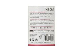 Vigno | Maule | Carignan | 2013 