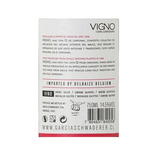 Vigno | Maule | Carignan | 2013 
