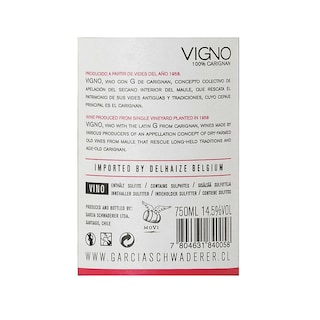 Vigno | Maule | Carignan | 2013 