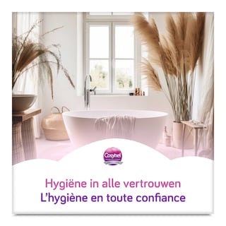 Cosynel | Papier toilette | Bleu | Eco 