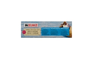 Delhaize | Cornet Vanille - chocolat 