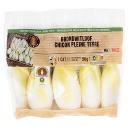 Chicons | Pleine terre | 1ier choix