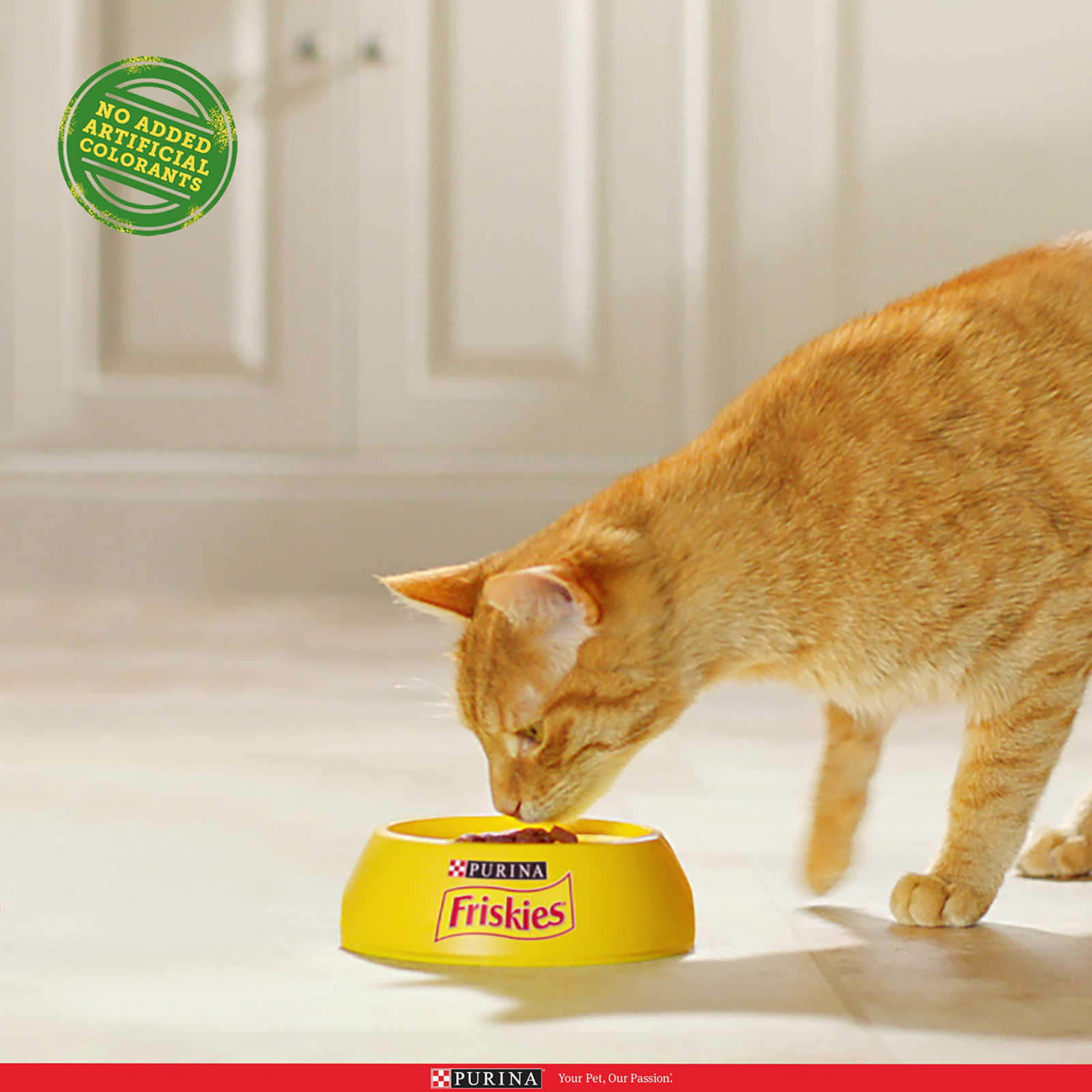 Friskies | Purina | Aliment chat | Adulte |Poulet & Légumes 