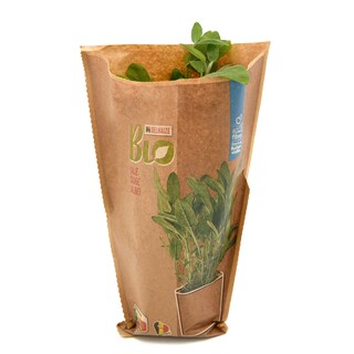 Delhaize | Bio | Salie | Potje | Bio 
