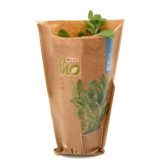 Delhaize | Bio | Salie | Potje | Bio 