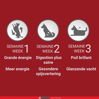 Purina ONE | Hondenvoeding | Medium/Max | Brokjes | Zalm 