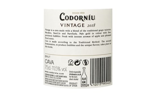 Codorniu | Cava | Vintage | Bio | Brut 75 cl