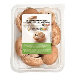 Drôles champignons
