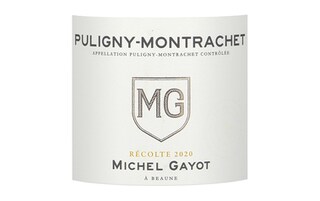 France - Frankrijk | Puligny Montrachet | Puligny Montrachet Gayot 2020 Wit 