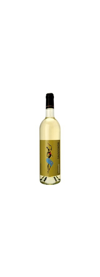 Afrique du Sud - Zuid-Afrika | Robertson | Sauvignon Rsa | Witte 