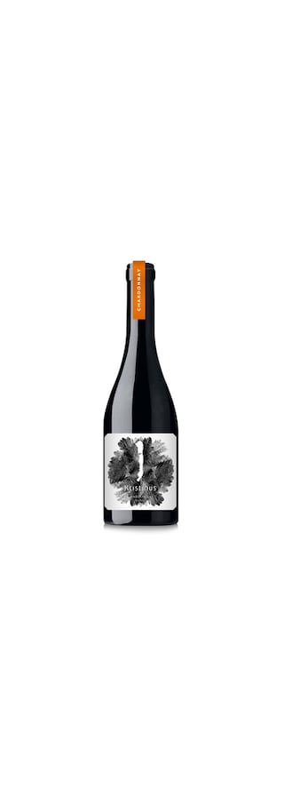Kristinus | Kristinus Parapli Chardonnnay Wit 