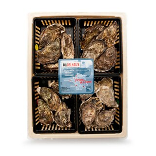 Delhaize | 4X4 Huitres creuses | Voyage en France 