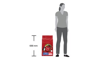 Purina ONE | Dog food | Medium&Maxi | Adult | Rund&rijst 