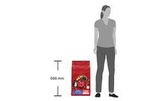 Purina ONE | Dog food | Medium&Maxi | Adult | Beef&rice 