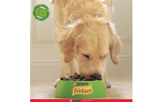 Friskies | Aliment Chien | Senior | Croquettes | Poulet 