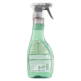 Frosch | Ruitenreiniger | Spray | Eco 