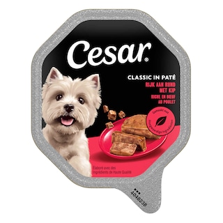 Cesar | Hondenvoeding | Paté | Rund 