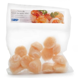 PTC | Sint Jacobsnoten | 10/20 